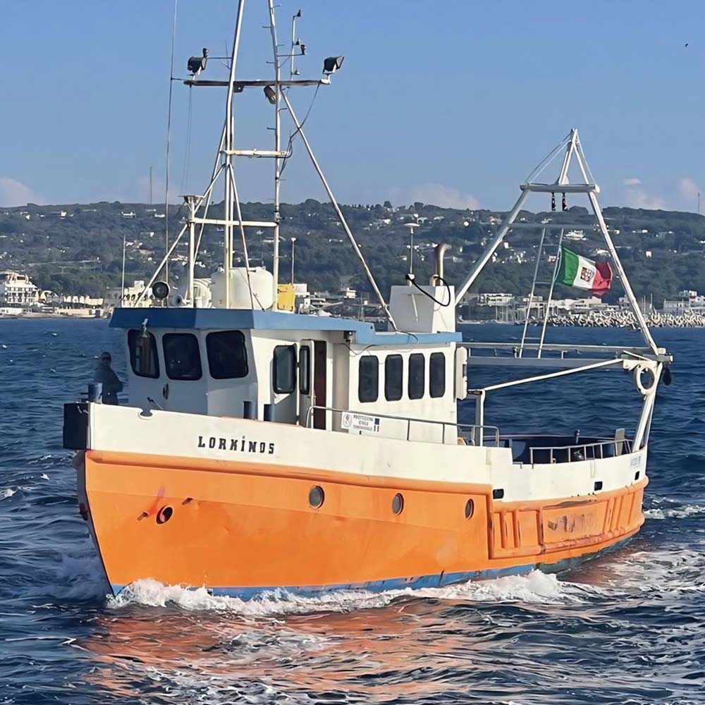 La nascita del progetto Lorkinos